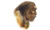 Homo Sapiens Neander